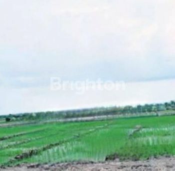 Tanah strategis Panestanan Ubud di jalan utama, pusat turis, view bagus. Harga