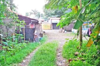 Kavling Jl.Darmais, Cimandala, Sukaraja, Bogor, Jawa Barat