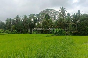Dijual Lahan di Ubud view sawah dan sungai kecil