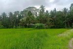 thumbnail-dijual-lahan-di-ubud-view-sawah-dan-sungai-kecil-2