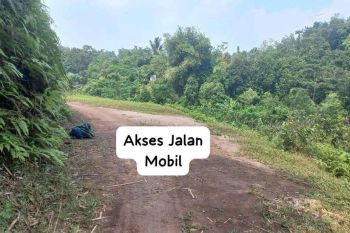 Di Juall Tanah Kebun Murah