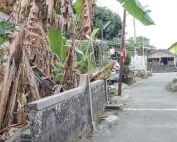 Di jual tanah SHM pekarangan murah di jl Kaliurang km 13