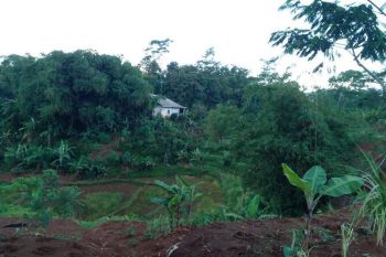 2 Menit Wisata Alam Pabangbon Bogor, Lahan 63 Kaveling Cocok Jadikan Passive