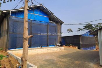 Kandang Ayam Produktif di Singorojo Kendal luas tanah 2916 m2 SHM