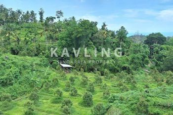 Tanah Kebun Durian Musangking View Sungai