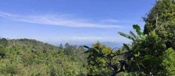 Dijual tanah murah cocok resort munduk Buleleng bali