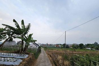 Tanah Matang Cihanjuang Parongpong Bandung