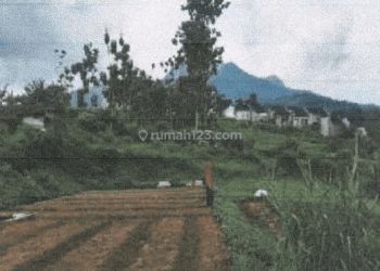 Teja Sukmana Tanah Subur Harga Investor di Jl.cilengkrang Bandung