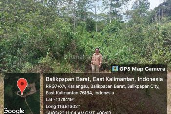 Tanah Kosong Kariangau