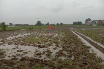 Tanah bentuk sawah zona Gudang lokasi lebak muncang Cihampelas Katapang Kopo