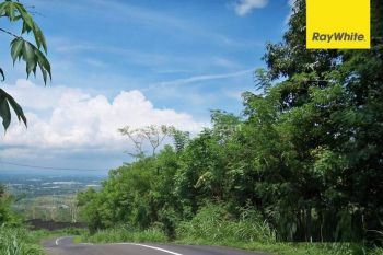 Disewakan Tanah Strategis Ds Ngembal Kec Tutur Kab Pasuruan