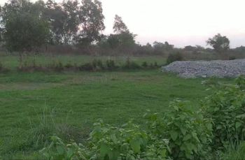 Dijual NEGO Tanah 4.700 m2 suramadu bangkalan madura jawa timur