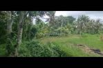 thumbnail-tanah-sewa-view-sawah-keren-cocok-villa-di-ubud-center-8