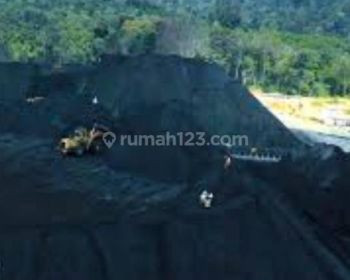 Tambang Emas 41 Ha di Balaesang Tanjung Donggala Sulawesi Tengah