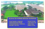 thumbnail-di-jual-ex-pabrik-benang-2-hektar-di-jl-raya-bandung-bandung-0