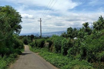 Tanah Kebun Jeruk Produktif Super Strategis di Karangploso Malang