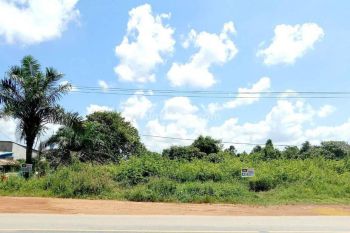 Sewa Tanah Harga Murah 4000 M2 Trans Kalimantan Kubu Pontianak