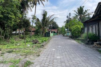 Tanah Jogja, Dekat Samsat Sleman, Cocok Bangun Hunian
