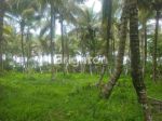 thumbnail-tanah-seluas-497-are-berlokasi-los-dengan-pantai-di-desa-pangyangan-kecamatan-4