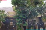 thumbnail-nego-jadi-rumah-mewah-dkt-summarecon-bandung-timur-211t1-1