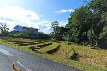 Tanah View Sawah sungai di Beraban dekat Pantai Abian kapas tabanan