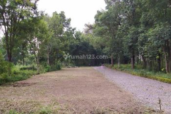 Dijual Tanah Strategis Timur Kampus Uii Jogja, Kawasan Perumahan