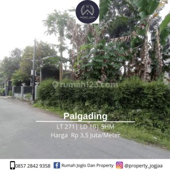 Dekat Tengkleng Gajah Pekarangan Palgading 3 Jutaan Nego Aja