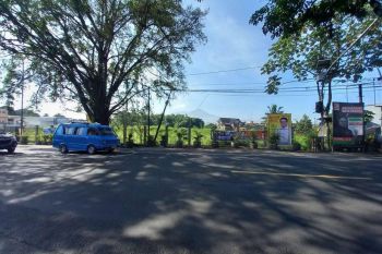 Tanah disewakan di dramaga bogor