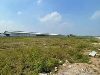 Tanah Gudang Industri Romokalisari