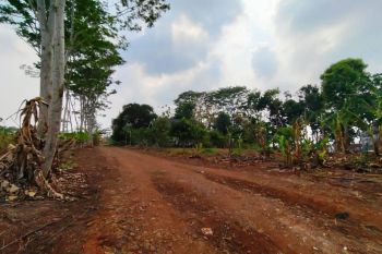 Beli Tanah dapat Bonus Batu 2 Rit, SHM, Tanah Murah Batang