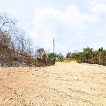 Dijual Tanah Jogja Dekat Puncak Sosok 900 Rb An M2 Siap Balik Nama Pembeli