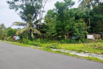 Dijual Murah Tanah Sawah Pakem Harga 1 Jutaan Aja Di Tepi Jalan