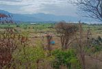 thumbnail-for-sale-good-land-for-villa-or-resort-with-sea-view-and-ricefild-4