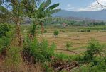 thumbnail-for-sale-good-land-for-villa-or-resort-with-sea-view-and-ricefild-3