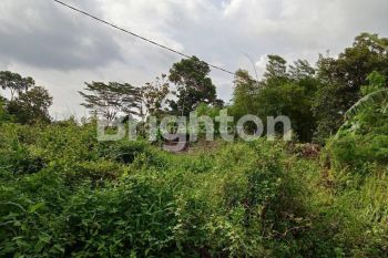 LAHAN LUAS DI DAERAH MAGUWOHARJO