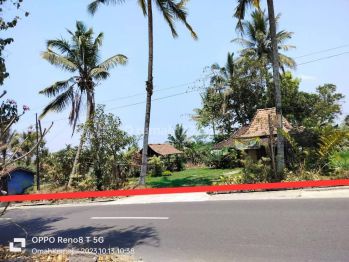 Area Utara Kopi Rollas, Barat Pasar Pakem Jalan Kaliurang Jogja