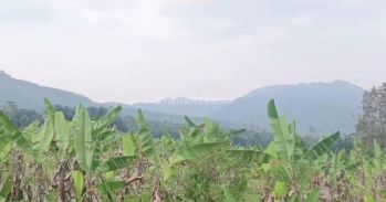 Lokasi Buat ternak kambing / ayam Bsa buat Villa di sukabumi cidahu