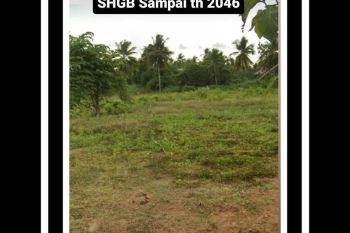 Tanah Di Gorontalo Jl Raya Talumelito Kec Limboto Luas Tanah 5.142(50X103) SHGB