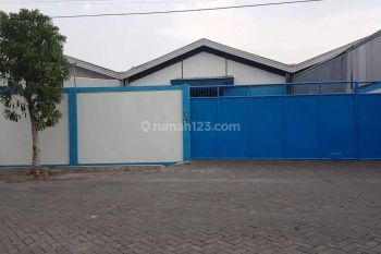 Gudang Mutiara Tambak Langon Margomulyo . Surabaya.