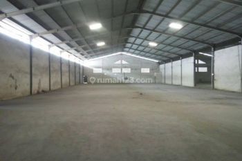 Gidang baru disewakan di jatake