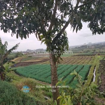 Tanah Luas Strategis di Belakang Lippo Plaza Batu