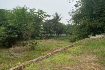 Dijual Tanah 3.000 M2 SHM Akses Mobil di Cibungbulang Bogor