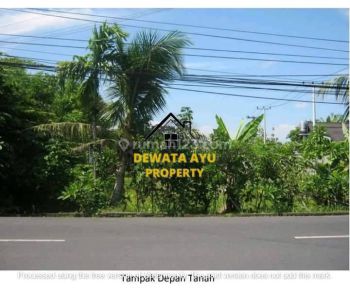 Lahan Luas 2000m2 Cocok Untuk Villa Lokasi Batu Belig