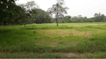 Dijual 2 Kavling Gandeng di Cluster My Home Lippo Cikarang