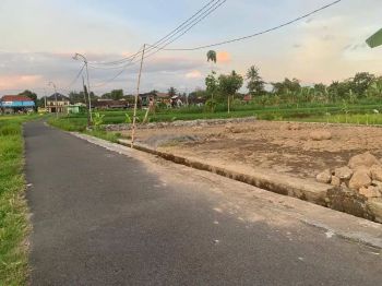 600 RIBU SAJA, Tanah Mangku Jalan Aspal Kota Wates