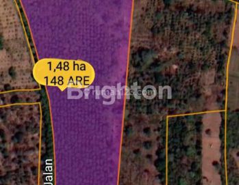 TANAH COCOK BUAT KAVLING DI BALI