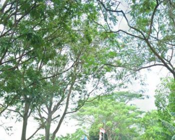 Di Jual Tanah di Kelurahan Samudra Jaya Kecamatan Tarumajaya Bekasi