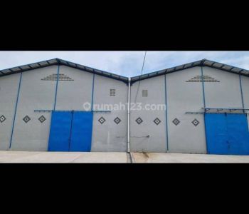 Gudang baru disewakan pantai indah dadap