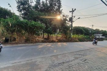 Tanah Pinggir Jalan Raya Mulawarman Tembalang Dekat Kampus Undip