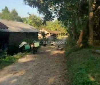 Tanah Kebun Murah di Mangunsari legal SHM